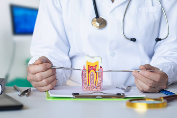 Best After-Hours Emergency Dentist in Ellijay, GA